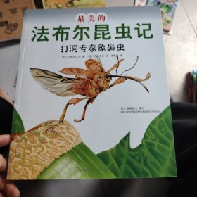 最美的法布尔昆虫记：打洞专家象鼻虫(优美图画+生动文字+趣味实验+法布尔生活故事=最值得珍藏的《昆虫记》绘本）