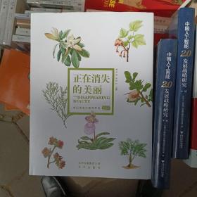 正在消失的美丽（正版图书:)