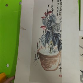 经典绘画临摹范本：齐白石花卉篇（一）