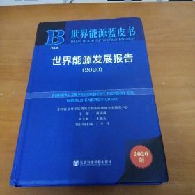 世界能源蓝皮书：世界能源发展报告（2020）