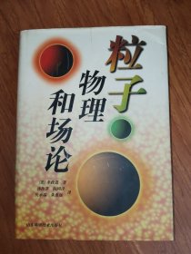 粒子物理和场论