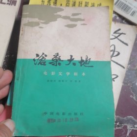 沧桑大地