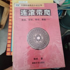 中国社会热点小说丛书：连滚带爬