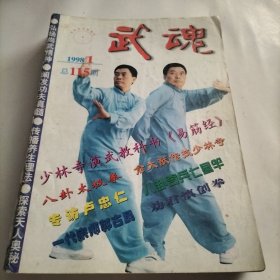 武魂，振藩截拳道，武门荟萃，八卦奇兵七星杆，八卦太极拳，宋式三皇炮捶拳，强体养生功，防卫，武学研究，传统武术，武道，练功，拳术，八卦掌，意拳，拳种，梅花拳，少林十字手，梅花螳螂门，小翻车拳，武林人物，一代宗师，国际武道，截拳道，气功，养生，武林旧事，少林寺，易筋经，功夫，拳师，