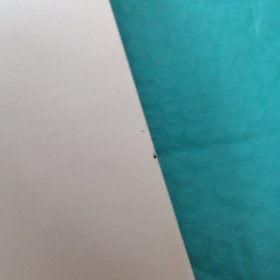 张学良暨东北军新论