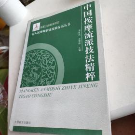 盲人按摩师职业技能提高丛书：中国按摩流派技法精萃（大字本）