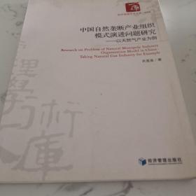 中国自然垄断产业组织模式演进问题研究：以天然气产业为例