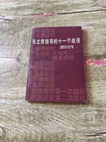 毛主席指导的十一个战役