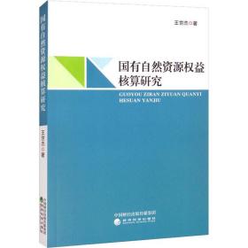 国有自然资源权益核算研究