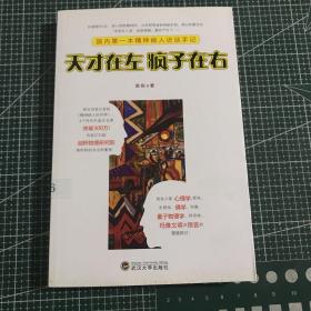 天才在左 疯子在右：国内第一本精神病人访谈手记