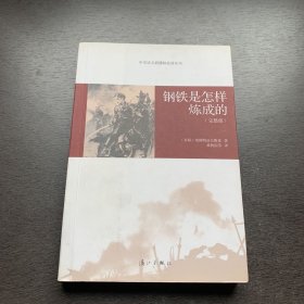 中学语文新课标必读丛书:钢铁是怎样炼成的  完整版