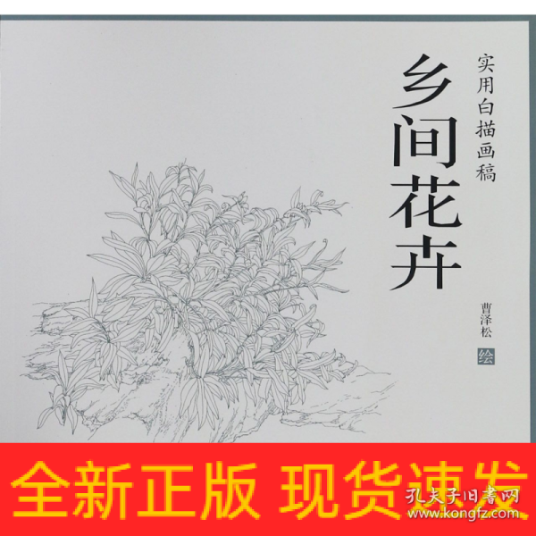 乡间花卉/实用白描画稿