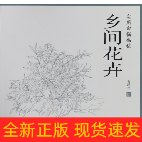 乡间花卉/实用白描画稿