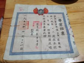 1954年；毕业证书