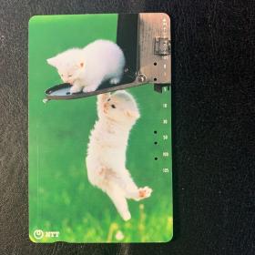 日本电话卡 猫 （014）
