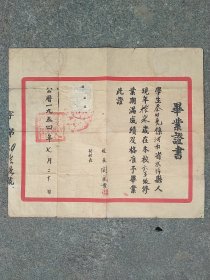 1954年《河南省武陟县毕业证书》武陟县人民政府印