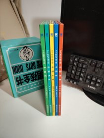 了不起的中国工程(全5册)儿童百科科普书中国桥、中国公路、中国网、中国建筑、中国高铁精装大开本绘本