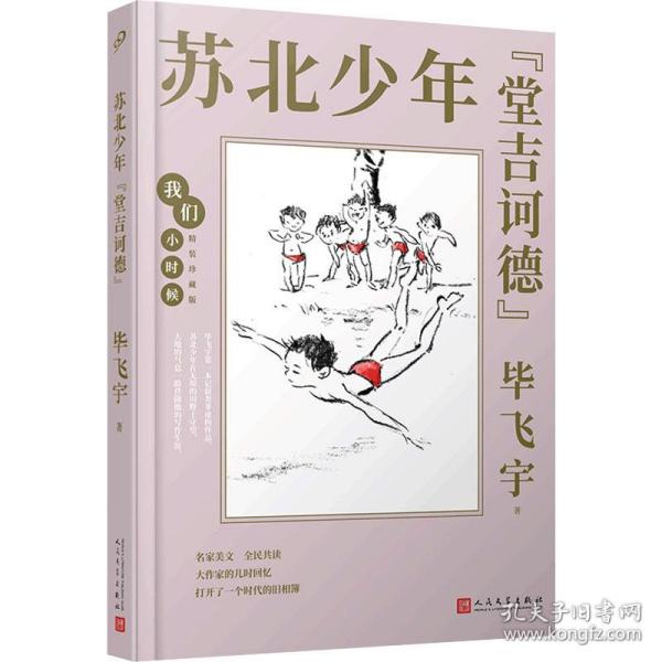 我们小时候：苏北少年“堂吉诃德”（茅盾文学奖得主毕飞宇童年回忆录，央视《读书》，人民日报，中国教育报推荐）（精装珍藏版）