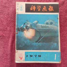 科学画报1979全年（12册合售）