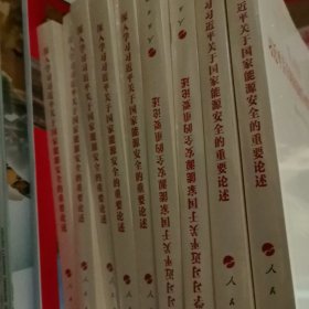 深入学习习近平关于国家能源安全的重要论述