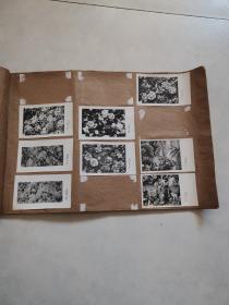 老照片  1981年下半年全国印花布选样定产会（烟台）大会分析花样（80枚合售）