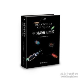 中国蜚蠊大图鉴