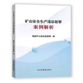 矿山安全生产违法犯罪案例分析 典型案例解析 应急管理出版社2023