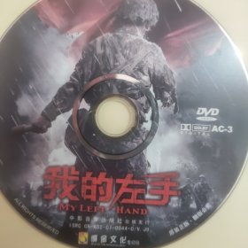 我的左手 DVD裸碟1张