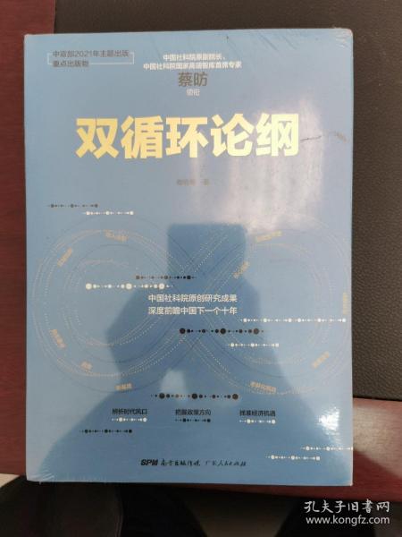 双循环论纲（中国社科院原创研究成果，深度前瞻中国下一个十年，变革来临时，抓住中国经济未来的十个关键答案）