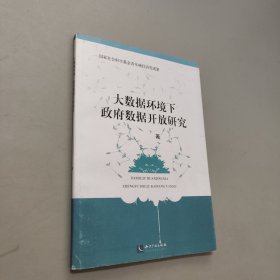 大数据环境下政府数据开放研究