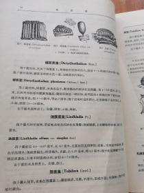 中国的真菌 作者:  邓叔群 出版社:  科学出