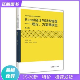 Excel会计与财务管理：理论、方案暨模型（第二版）