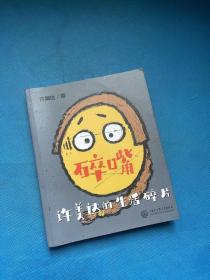 碎嘴许美达的生活碎片（“怎么能长成旷世奇才？”——马丽、张伟丽、张含韵、苗圃、毛川、东北酱、浪胃仙、邵英、我老师和我妈…）