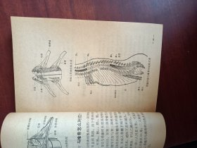赤脚医生参考丛书：基础医学问答（10册、缺2、6.9册）7本
