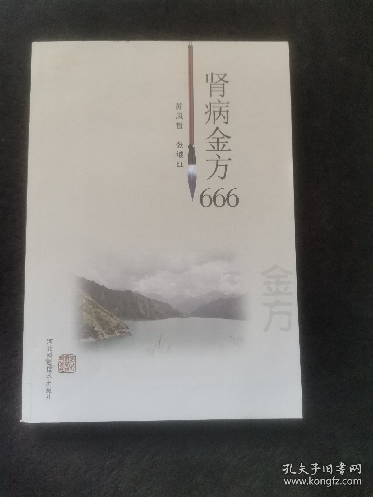 肾病金方666′（中医验方，偏方，秘方，土方）全新未翻阅。正版现货，一版一印