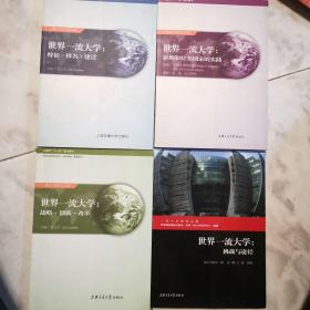 世界一流大学：特征·排名·建设、亚洲和拉美国家的实践、战略·创新·改革、挑战与途径共4本合售