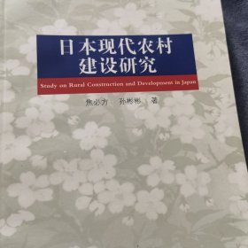 日本研究丛书：日本现代农村建设研究