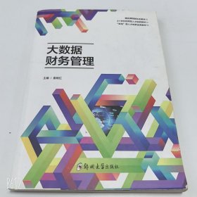 【正版二手】大数据财务管理袁晓红9787564589882郑州大学出版社