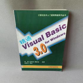 精通Visual basic 3.0 for windows