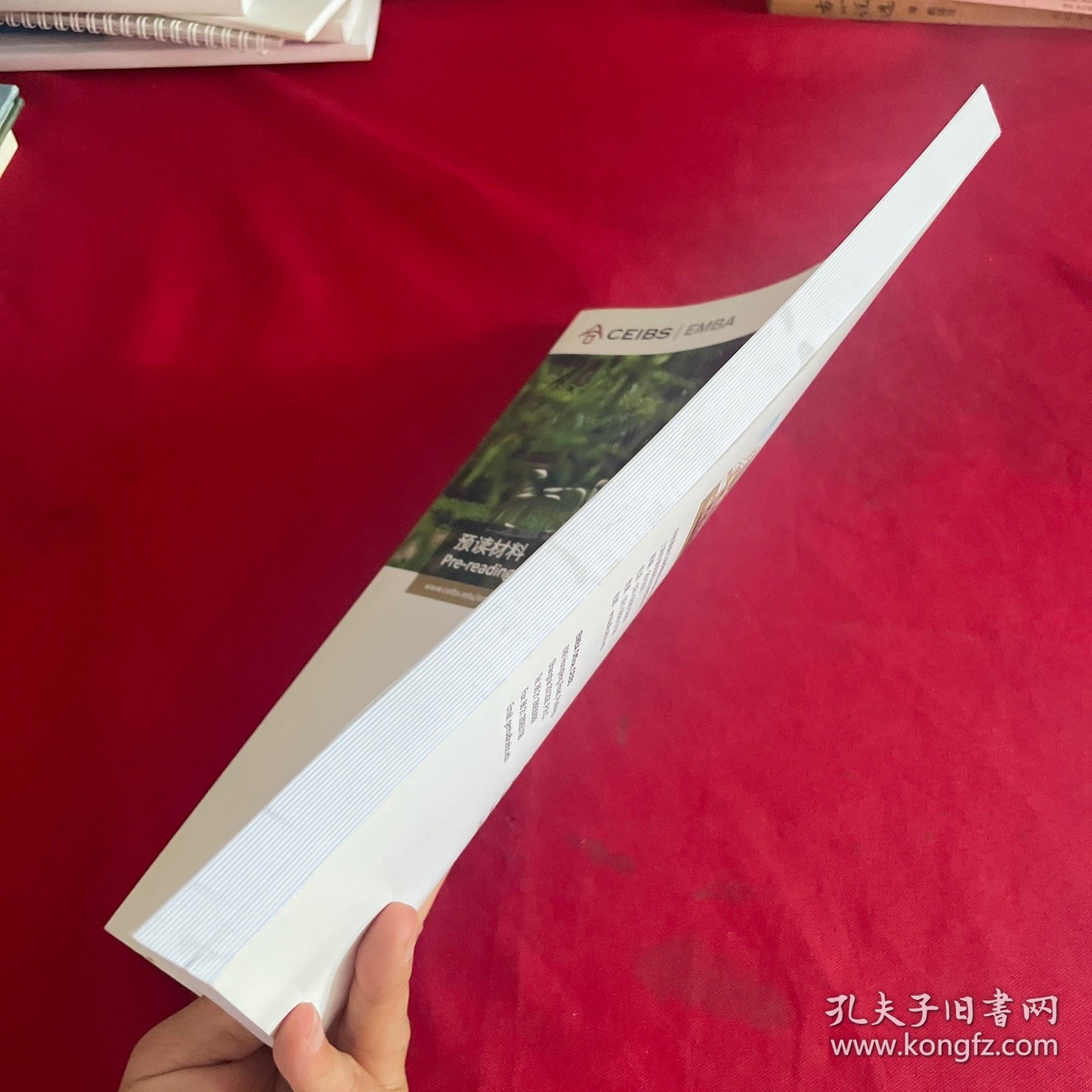 中欧国际工商学院EMBA课程：领导力 （预读材料） 杰克·伍德 教授&穆恩 教授 2014