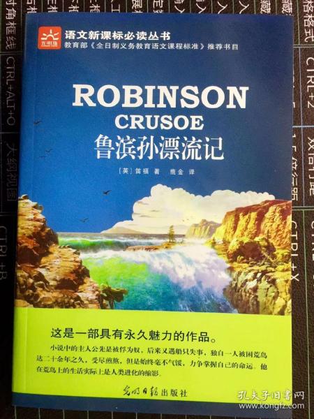 鲁滨孙漂流记