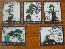 T61（6-1，2，3，4，5）邮票 盆景信销票 5枚合售