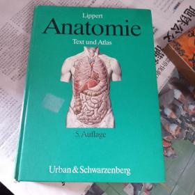 Anatomie