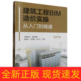 建筑工程BIM造价实操从入门到精通(软件版)