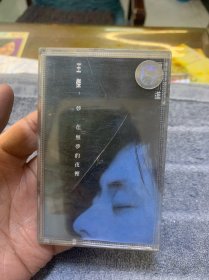 磁带 王杰-梦在无梦的夜里