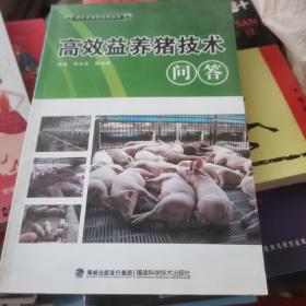 高效益养猪技术问答(绿色养殖)