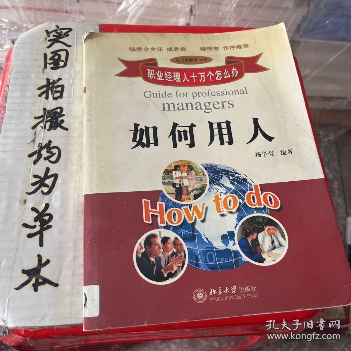 如何用人【书角破损】：职业经理人十万个怎么办