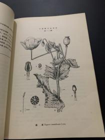 中国药用植物志 第三册 1953年版