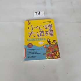 心理学普及丛书·微心理漫画版：小心理大道理·积极心理学的力量