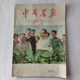 中国农业（1961－7）